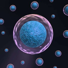 Stem Cell Therapy Chicago