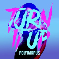 Polycarpus - Turn It Up