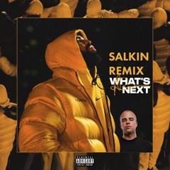 Drake - What's Next (Salkin x Nik Brown VIP Edit)