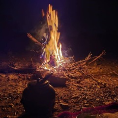 دیدی تو هم عاشق نبودی