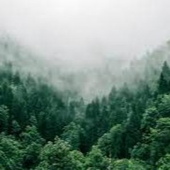 Plūsma(mastered)