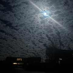 midnight lasagna freestyle ft. Bripie