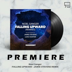 PREMIERE: Noel Sanger - Falling Upward (Jamie Stevens Remix) [DISSIDENT MUSIC]