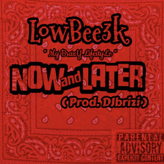LowBee3k - Now Or Later (Prod. DJBRIZI)