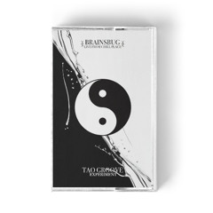 Tao Groove Experiment