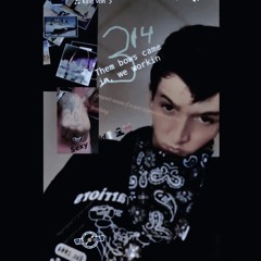 all of my birds freestyle (forces untied)