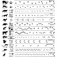 Bring it to the front Ft. Johnny Fisher