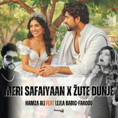 Meri Safaiyaan x Žute Dunje - Hamza Ali feat Lejla Babic-Farooq