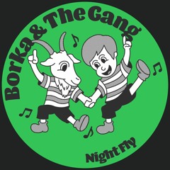 PREMIERE: Borka & The Gang - Night Fly [Lisztomania Records]