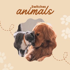 Switch!!