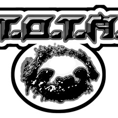 T.O.T.A. - Sequential Night