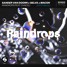 Sander van Doorn x Selva x Macon - Raindrops (KAYU Remix)