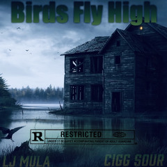 Lj mula x Ciggavel sour - Birds Fly high