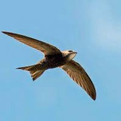 UNTER UNS//Paul Munz// Sutropos & VIDO @ METRO DRIVE secret location 18/03/22