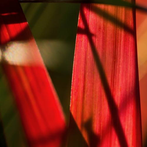 Questions - Deeper Rework (Free Download)