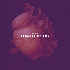 BRM PREMIERE: Kuzey - Because of You (Original Mix) [Barbur Music]