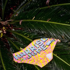 HarrisonJupe X BRAUN Spring Mix