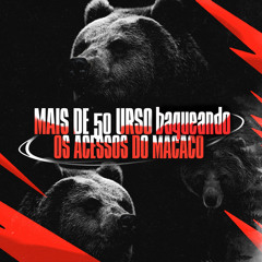 MAIS DE 50 URSO BAQUEANDO OS ACESSOS DO MACACO