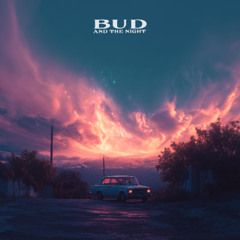 Disco Lines - No Broke Boys (Bud And The Night Remix)
