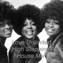 Love Unlimited High Stepping Hip Dressing Fella House Mix Diana Indio