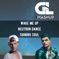 Avicii vs Vintage Culture vs Reezer - Wake Me Up X Neutron Dance X Shining Soul (GRAN LUCHI Mashup)