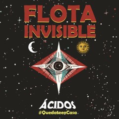 Ácidos - Flota Invisible