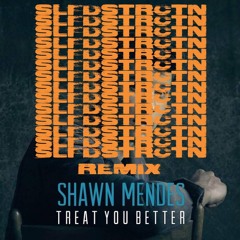 SHAWN MENDES - TREAT YOU BETTER [SLFDSTRCTN REMIX]