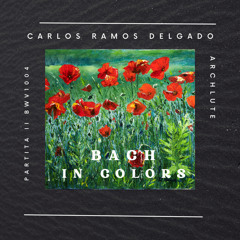 Partita No.2 in D minor, BWV 1004: III. Sarabande
