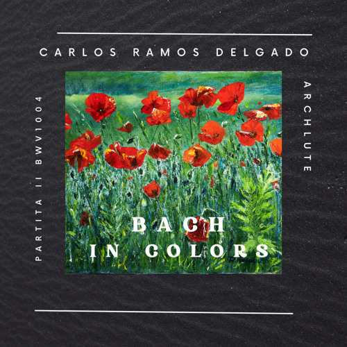 Partita No.2 in D minor, BWV 1004: III. Sarabande