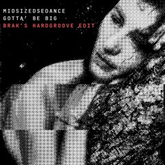 MidSizedSedance - Gotta' Be Big (BRAK's Hard Groove Edit)