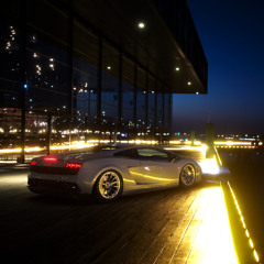 Loving The Night Away