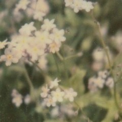 So stupid (prodbymyriad)