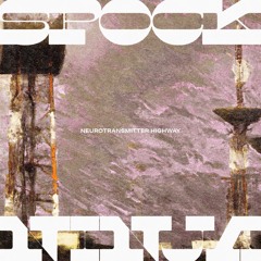 SpockNinja - A High Like No Other
