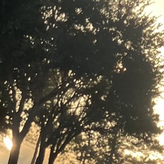 I Finally Learned How To Level My Songs Without Distorting Them