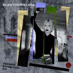 Techno Exhibition #011 Elektrofelina