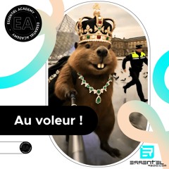 Au voleur ! - Podcast du 10/11