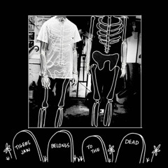 Tigers Jaw - Stungun