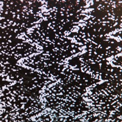 White Noise