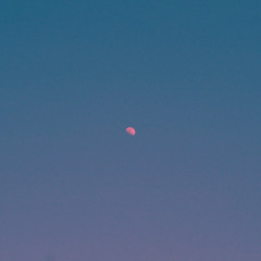 But There's Still The Moon