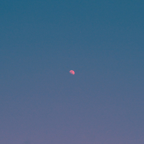 But There's Still The Moon