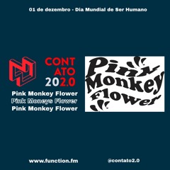 Pink Monkey Flower @ Contato 202.0