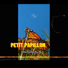 PETIT PAPILLON