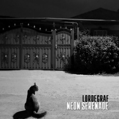 NEON SERENADE