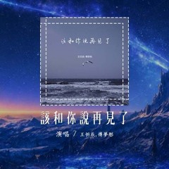 王忻辰,傅梦彤 - 该和你说再见了「雨停了 泪干了 偏爱你的心冷了」【動態歌詞/Lyrics Video】#王忻辰 #傅梦彤 #该和你说再见了 #動態歌詞
