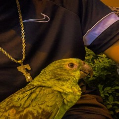 Balão Whisky