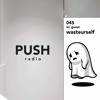 PUSH Radio 045 Ft wasteurself