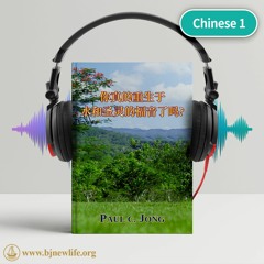 布道8 大量赎罪的福音