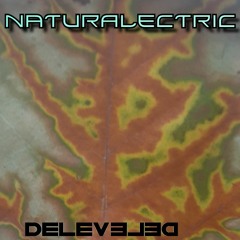 Naturalecrtic