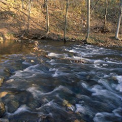 Stoney Creek