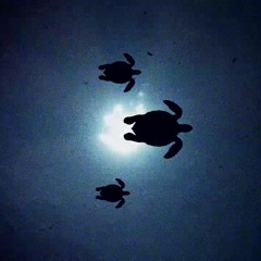 EXODUS (Fast Techno and Trance Mix)